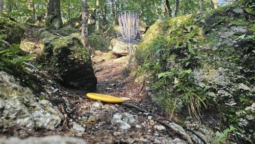 Disc golf putter and basket