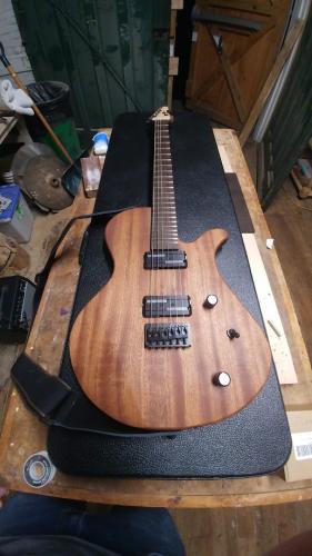 I made this guitar
