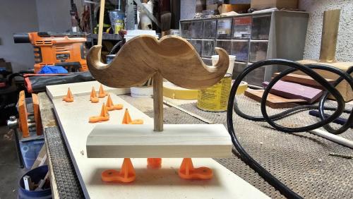 Movember nicest stache award 2024